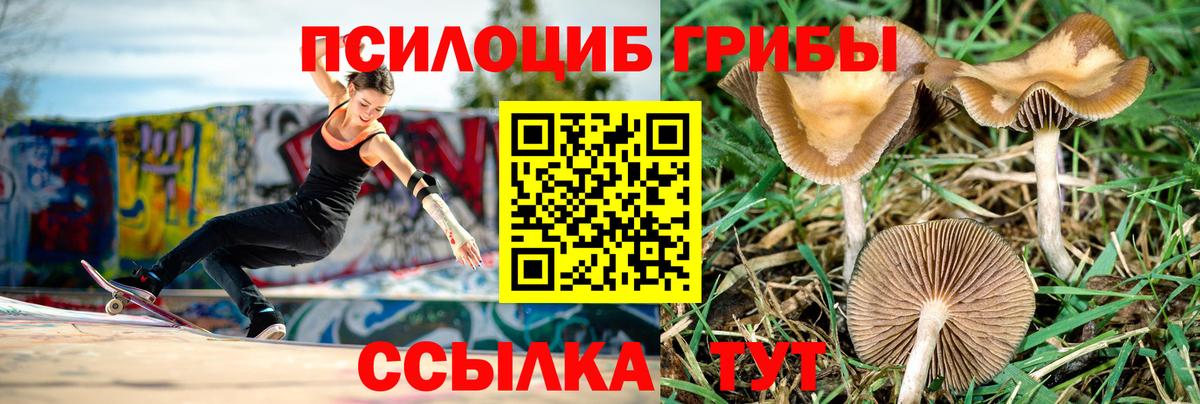 Псилоцибиновые грибы мицелий  дарнет шоп  Псков  Вход с VPN 