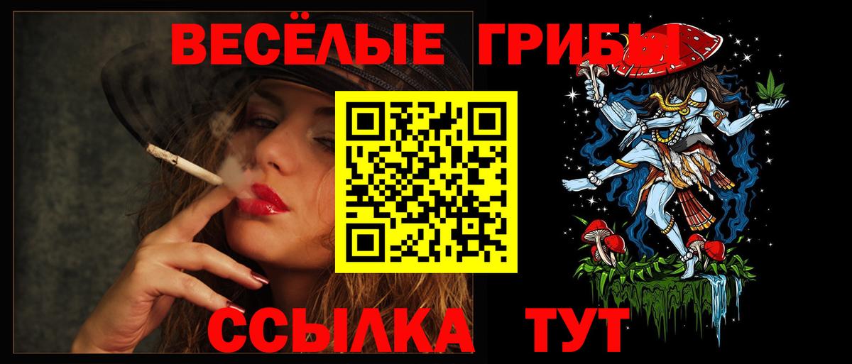 Галлюциногенные грибы Psilocybe Псков